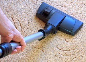 A carpet cleaning professional working in Grayslake